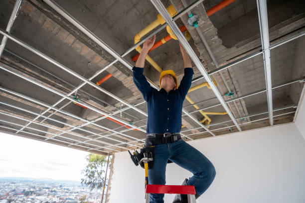 Best Plumbing Repair Near Me  in Mendota Heights, MN