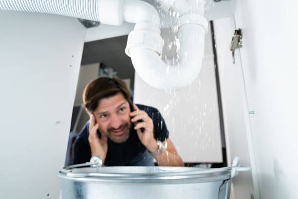Best Commercial Plumbing Services  in Mendota Heights, MN